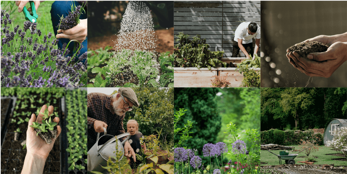 Gardening gallery preview