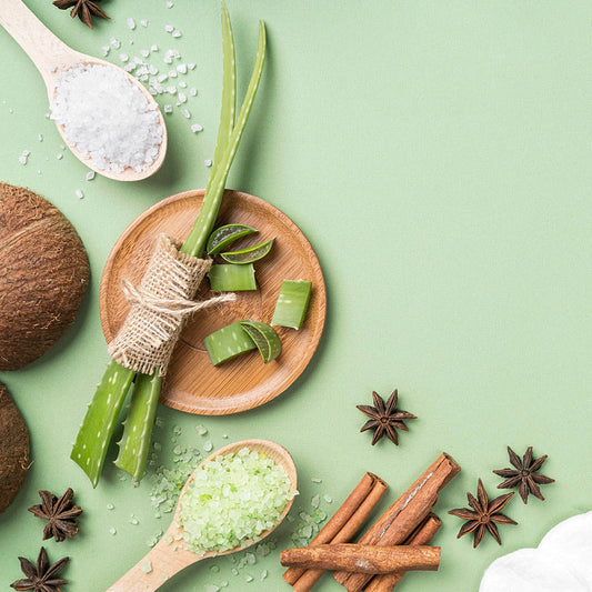 Nourishes the Skin While Supporting a Smooth and Even Complexion
