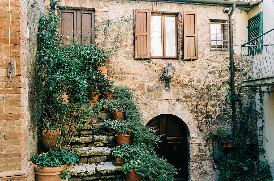 Brown potted green leafed plants photo