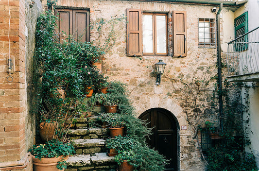 Brown potted green leafed plants photo