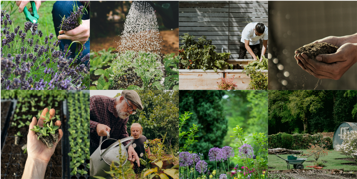 Gardening gallery preview